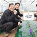 친환경팜