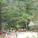 선경농원 Daum카페