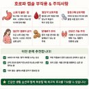 중동의약품(주) | 호로파 캡슐 효능 후기 가격 먹는방법 성분 정리