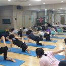 활력충전 요가교실 이미지