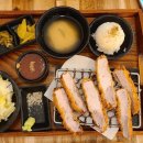 카츠 디나인(카츠 D9) 이미지