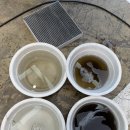 도일자동차 | 평택 자동차 에어컨청소 내돈내산｜송탄동 세차 리스토어Factory 에바크리닝 충격 후기