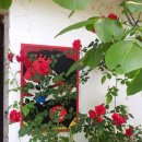 석굴암 화장실 이미지