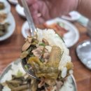 백토미가 이미지