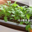 화분들닷컴 이미지