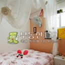 강촌로4 이미지