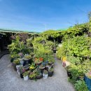 주전식육식당 이미지