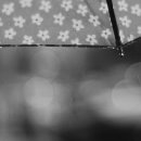 그대애개 이미지