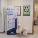 SNJ메디칼 이미지