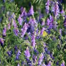 낙동강체육공원 야구장 화장실 이미지