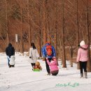 산림욕장 진입로 이미지