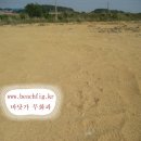 밀물농장 Daum카페