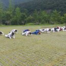 은천태권도장 이미지