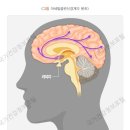 은빛사랑요양병원 이미지