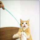 몽실몽실 이미지
