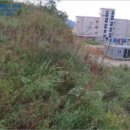 은하면 포항마을회관 이미지