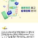 연세세인트성형외과의원 이미지