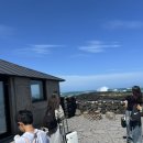 더 스테이 꽃님 이미지