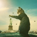 거인병원 이미지