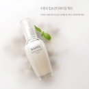 라헬
