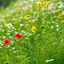 경기도 수원시 장안구 창훈로 이미지