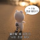 대체할 수 없는 경험에는 가성비를 따지지 않는다. (아우토프 정재형)