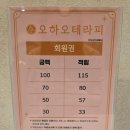 오하오테라피