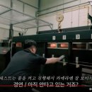 스테이너와 이미지