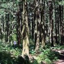 명품베스트 이미지