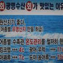 매일수산횟집 이미지
