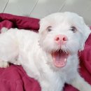 미소주유소 이미지