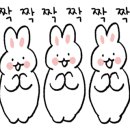 에이치앤 휘트니스 네이버블로그