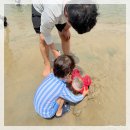 다대포해수욕장 | 다대포해수욕장 해루질 도전 아이랑 다녀온 솔직 후기