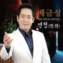 연정