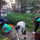 온천2동-9 이미지