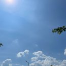 경산 가림디자인 매장 방문 ! 하얀색 암막 콤비 블라인드 이쁘게 잘 달았습니당