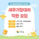 정일회계법인 티스토리