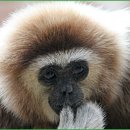 테마레스토랑 이미지