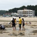 장미펜션 이미지