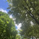 방배로28길 7 이미지