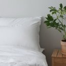 마스테이 이미지