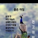 전유진 비디오 제작 동영상 ＜당신은 모르실거야 ＞ 이미지