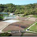 미순농장 이미지