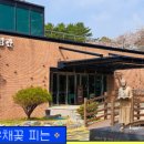 2024 박경리문학축전 이미지