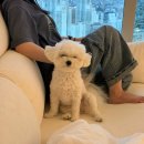 아우름1호 | [일상ㅣ가을¿ ㅣ9월]