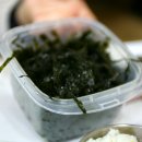 순흥애꽃 이미지