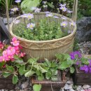 그린토피아 이미지