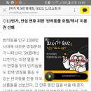 애견 11번가 이미지