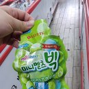 미니멜츠빅 후기