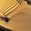 빛과갯벌-1 이미지